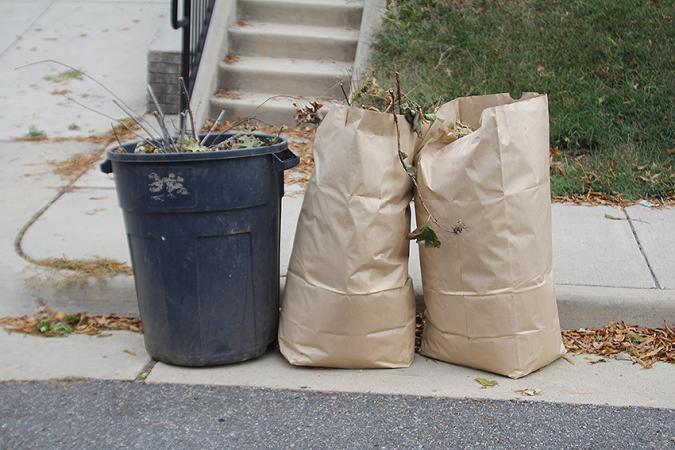Plastic Bags Are Out and Paper Is In for Yard Waste, Fairfax County Says